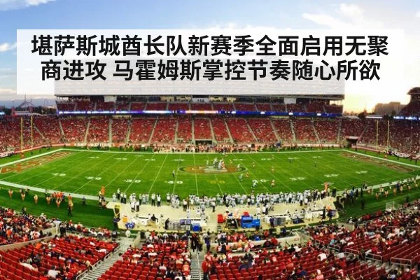 NFL football stadium action